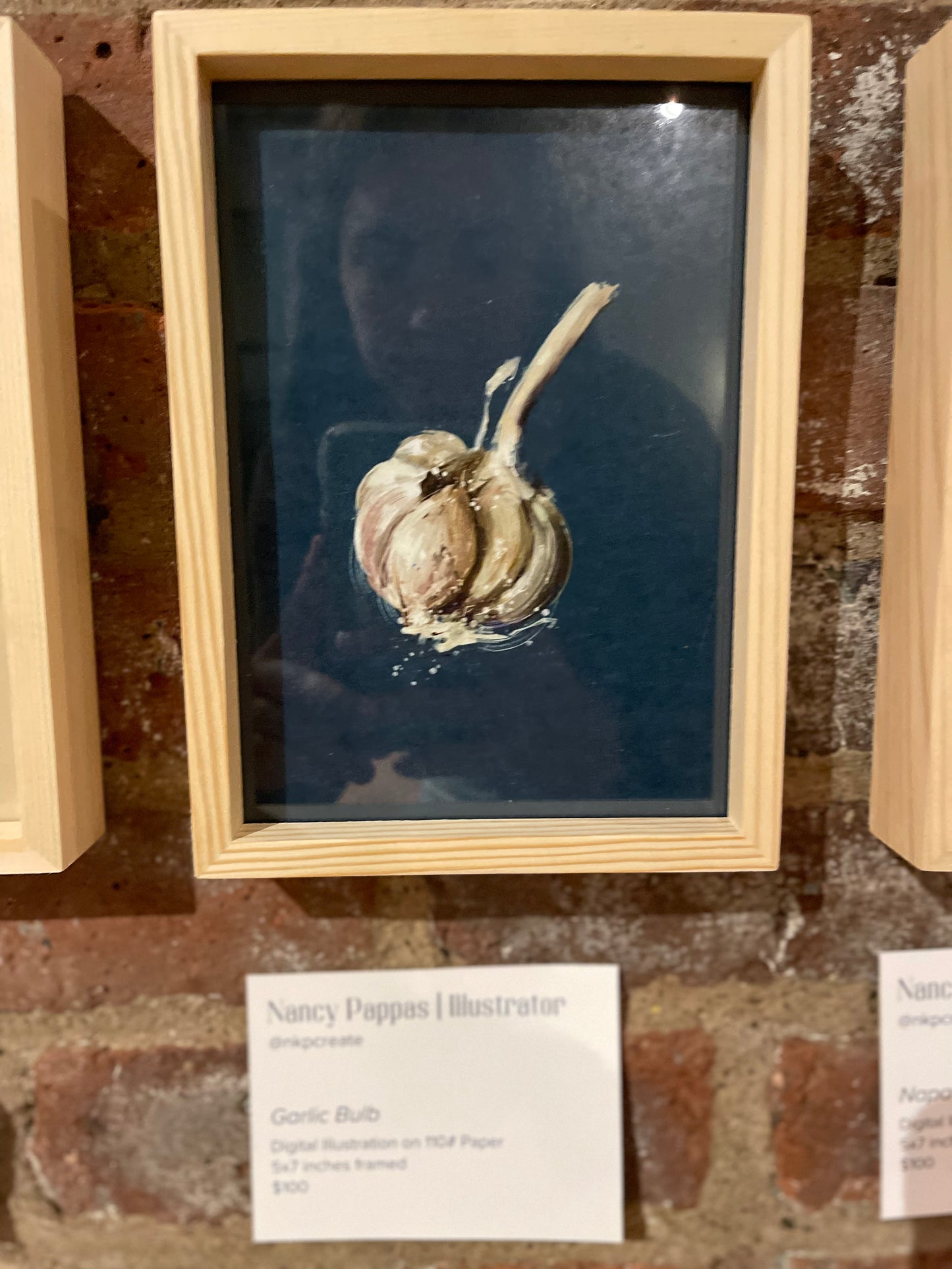 Garlic Bulb by Nancy Pappas